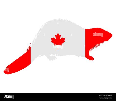 Canada symbol beaver Cut Out Stock Images & Pictures - Alamy