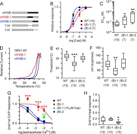 Effects Of Chimeric Mutations Of Trpv1 And Trpv3 In Distal Segment Of