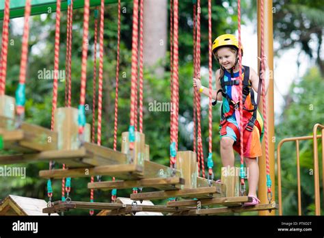 Child in forest adventure park. Kids climb on high rope trail. Agility ...