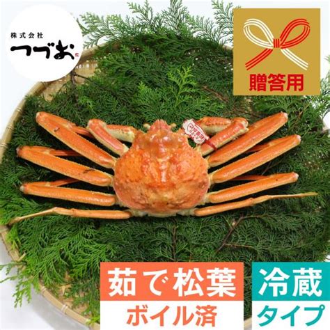 【冷蔵】贈答・最高級「茹で」松葉ガニタグ付き 一枚 大800g以上｜株式会社 つづおの通販・お取り寄せなら【ぐるすぐり】