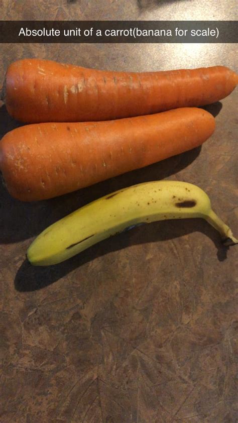 Absolute Unit Of A Carrot Rabsoluteunits