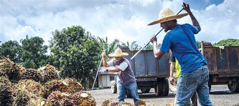 Plantation Worker Skills Course Pwsc Kkpl Centexs