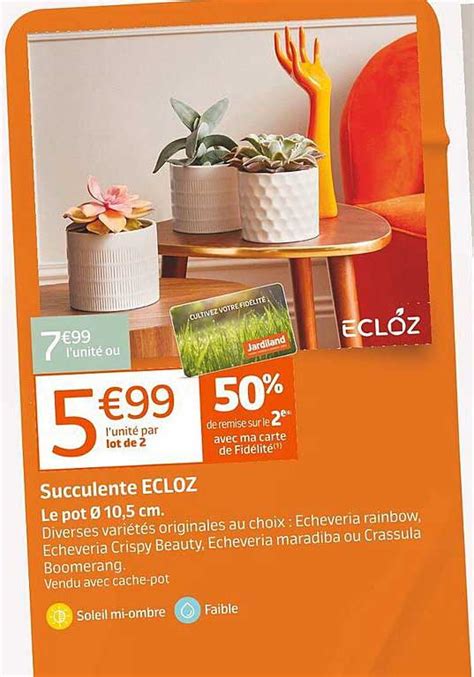 Promo Succulente Ecloz Chez Jardiland ICatalogue Fr