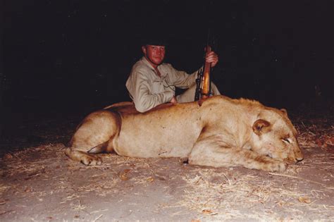 First Lion Hunting Article By Peter Flack