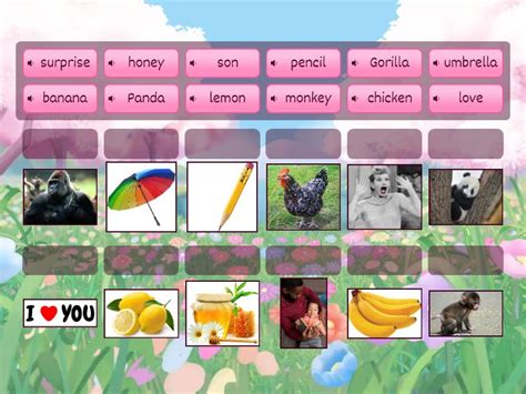 Oxford Phonics 5 unit 6 - Match up