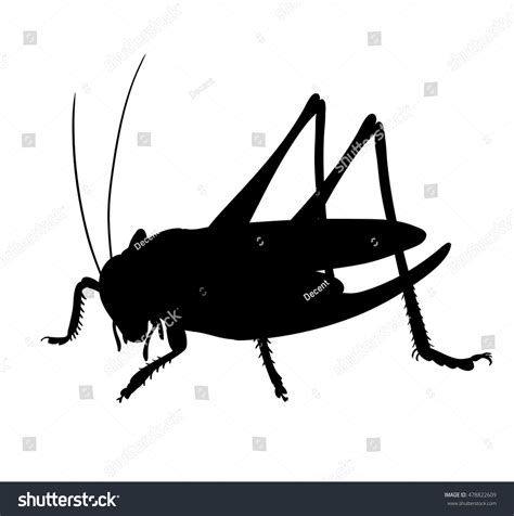 Grasshopper Silhouette Grasshopper Vector Stock Vector Royalty Free 478822609