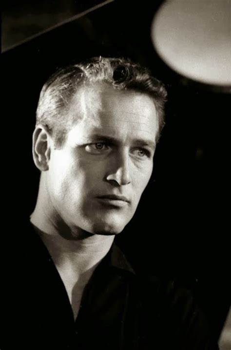 Paul Newman Paul Newman Movie Stars Old Movie Stars