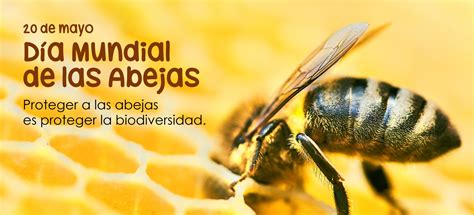 20 De Mayo Día Mundial De Las Abejas Elementosmx