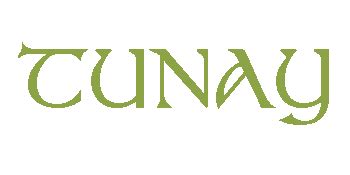 tunay  wonderful dancer  songerthe  world star