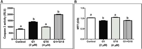 The Gper Antagonist G Does Not Attenuate G Induced Reduction Of Kgn