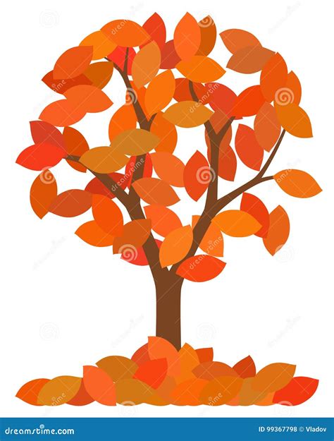 Isolated Autumn Tree Stock Vector Illustration Of Beautiful