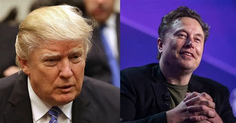 Musk E Trump Sempre Pi Vicini Wsj Il Tycoon Valuta Per Lui Un Ruolo