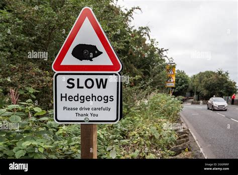 Hellifield hedgehog sign hi-res stock photography and images - Alamy