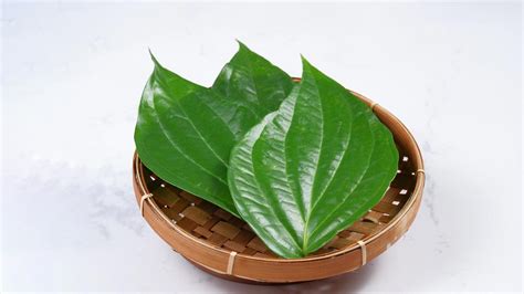 Significance Of Betel Leaf Paan Ke Upay पान के टोटके शुक्रवार के