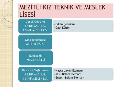 PPT MESLEKİ VE TEKNİK LİSELERDE ALAN SEÇİMİ PowerPoint Presentation