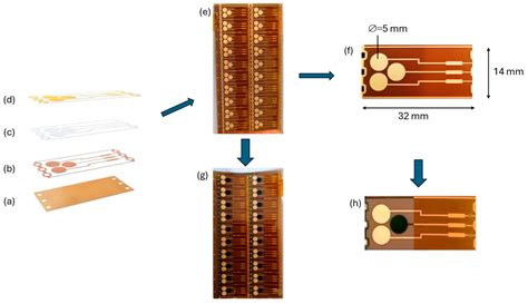 Chemosensors Free Full Text Polyaniline Based Flexible Sensor For