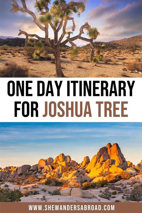 One Day Itinerary For Joshua Tree