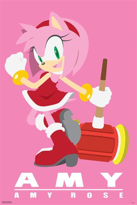 Buy Pyramid America Sonic The Hedgehog Amy Rose Video Game Gaming Cool