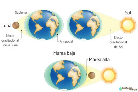 Qué son las mareas y por qué se producen Resumen