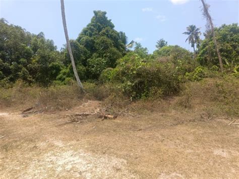 Land for Sale at Irinjalakuda | housefind