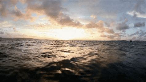 Animated Ocean Waves Gif