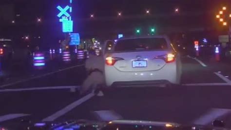 Video Shows Trooper Dragged By Car During Traffic Stop In Orlando