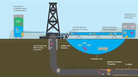 Oil And Gas Geomicrobiology