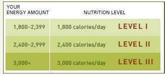 P90X Nutrition Plan Calculator - Tips You Should Know