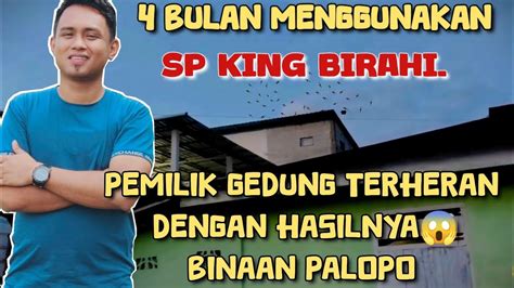 Pengecekan Pertama Rbw Binaan Di Palopo Yang Pernah Virall Memutus