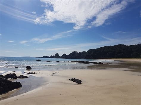 Te Araroa Trail Day 15 Waikahoa Bay Doc Camp Off Trail Whananaki