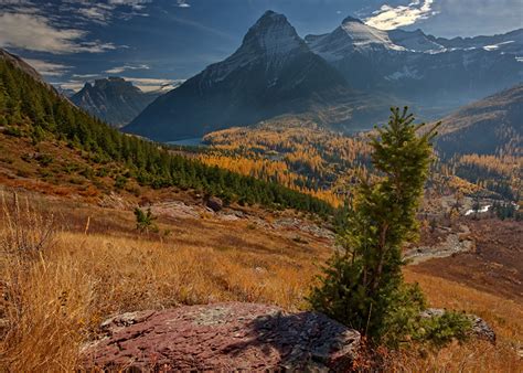 Fonds Decran Usa Automne Parc Montagnes Photographie De Paysage Forêts