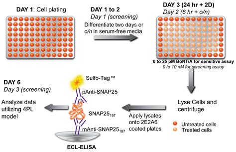 Toxins Free Full Text Biotoxin Detection Using Cell Based Sensors