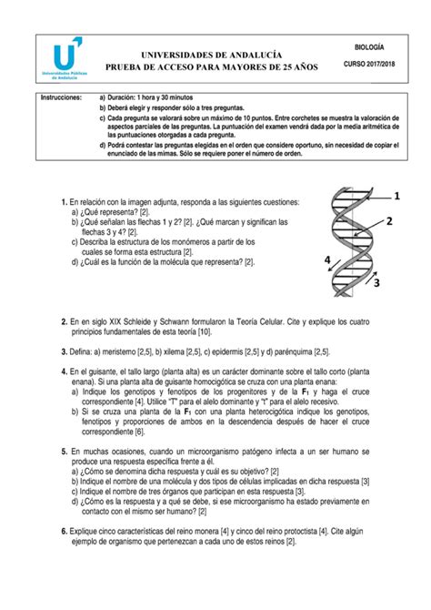 Prueba Acceso Universidad Mayores Andaluc A