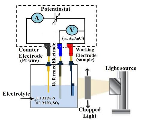 Schematic Diagram Of Photoelectrochemical Setup Download Scientific