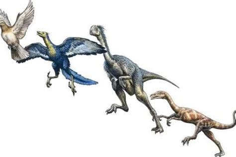 Benarkah Dinosaurus Adalah Leluhur Burung Ini Teorinya