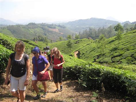 Amazing Munnar Tours Qué Saber Antes De Ir Actualizado 2024 Tripadvisor