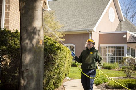 Bethlehem Pa Tree Services Lawn Care And Pest Control Joshua Tree Experts