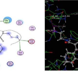 Proposed Binding Mode Of Compound 3 Docked In The Active Site Of B Raf