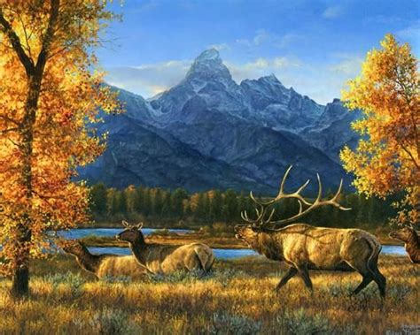 Abraham Hunter Art S Photos Abraham Hunter Art Wildlife Paintings