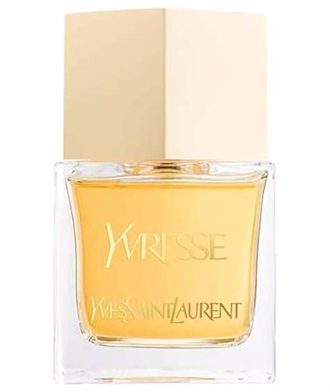 13 Best Ysl Perfumes 2022 Best Smelling Yves Saint Laurent Fragrances