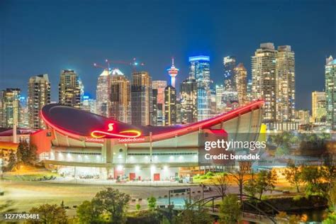 113,026 Calgary Saddle Dome Stock Photos, High-Res Pictures, and Images ...