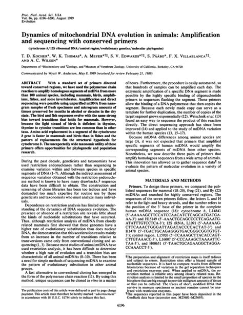 Dynamics of mitochondrial DNA evolution in animals