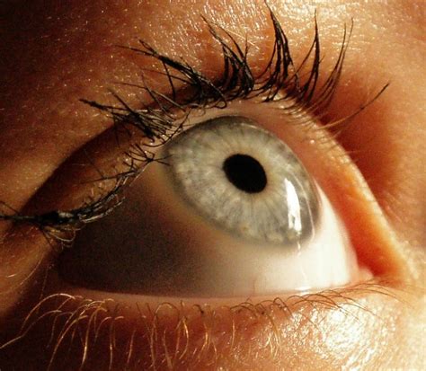 30 Captivating Photographs of Eyes - Stockvault.net Blog