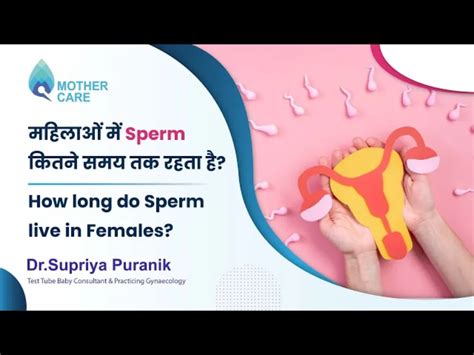 How Long Do Sperm Live In Females Expert Answers