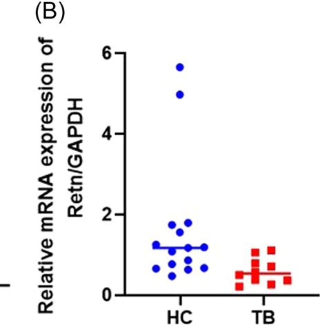 Transcript Levels Of Retn Amy2a And Sftpd Genes In The Human