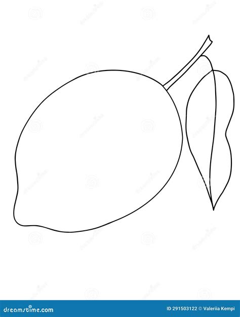 Vector Illustration Of Lemon Fruit Food Hand Drawn Linart Isolated