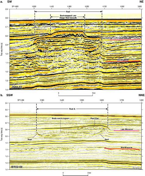 Strike Oriented Seismic Lines Across Reef A Showing Back Stepping