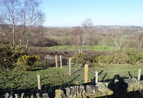 Woods Beside The A North Of Castleside Robert Graham Cc By Sa