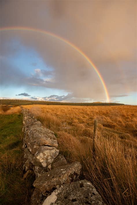 Foundation for Common Land submits evidence to the Dartmoor Review