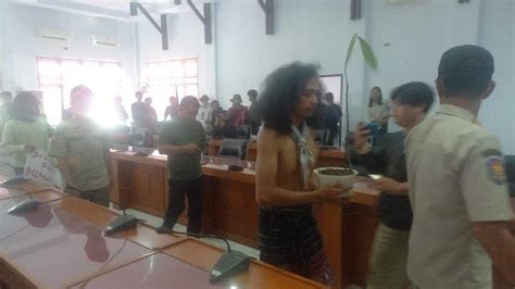 Aliansi Pemuda Peduli Lingkungan Bawa Kayu Eboni Ke Aula Dprd Luwu